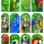 Wrap by Isabel Gesell - 43 – sommernail