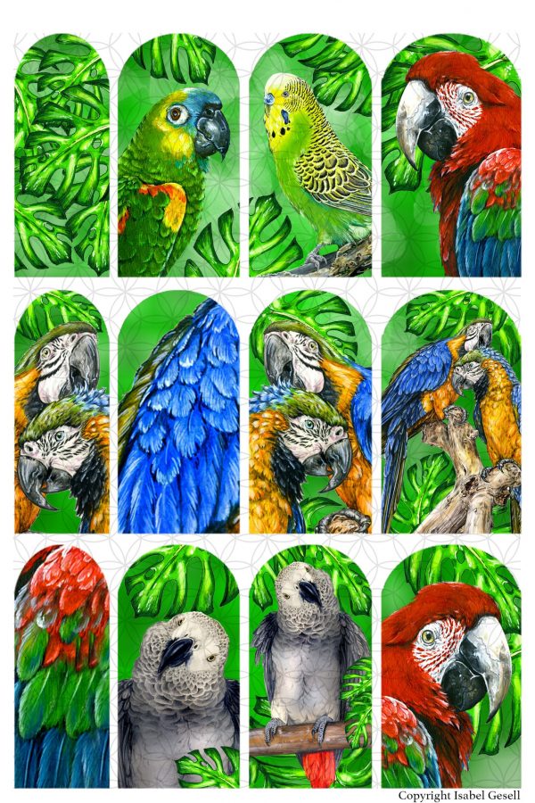Wrap by Isabel Gesell - 43 – sommernail